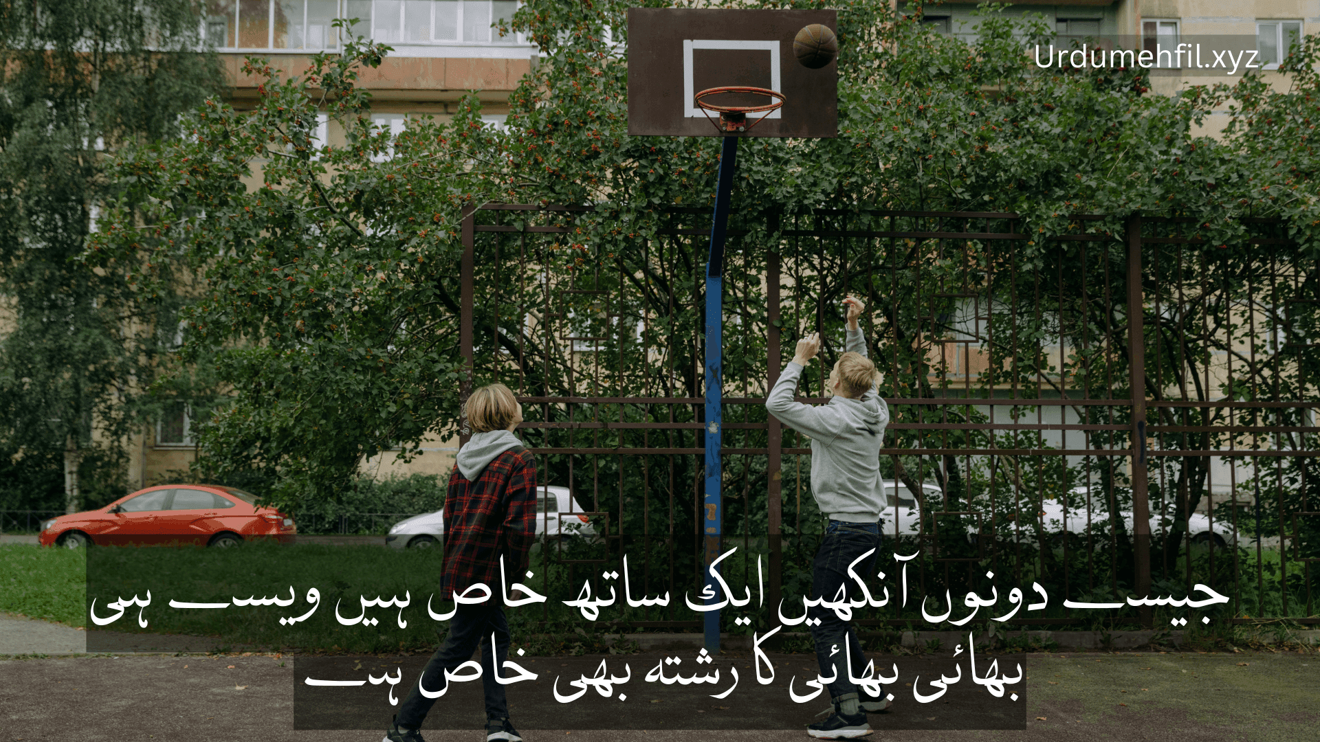 Brother Quotes