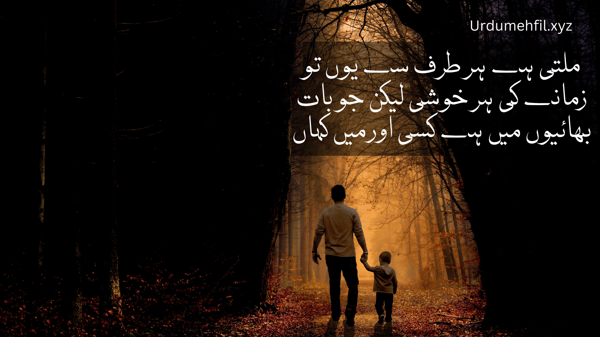 Brother Quotes