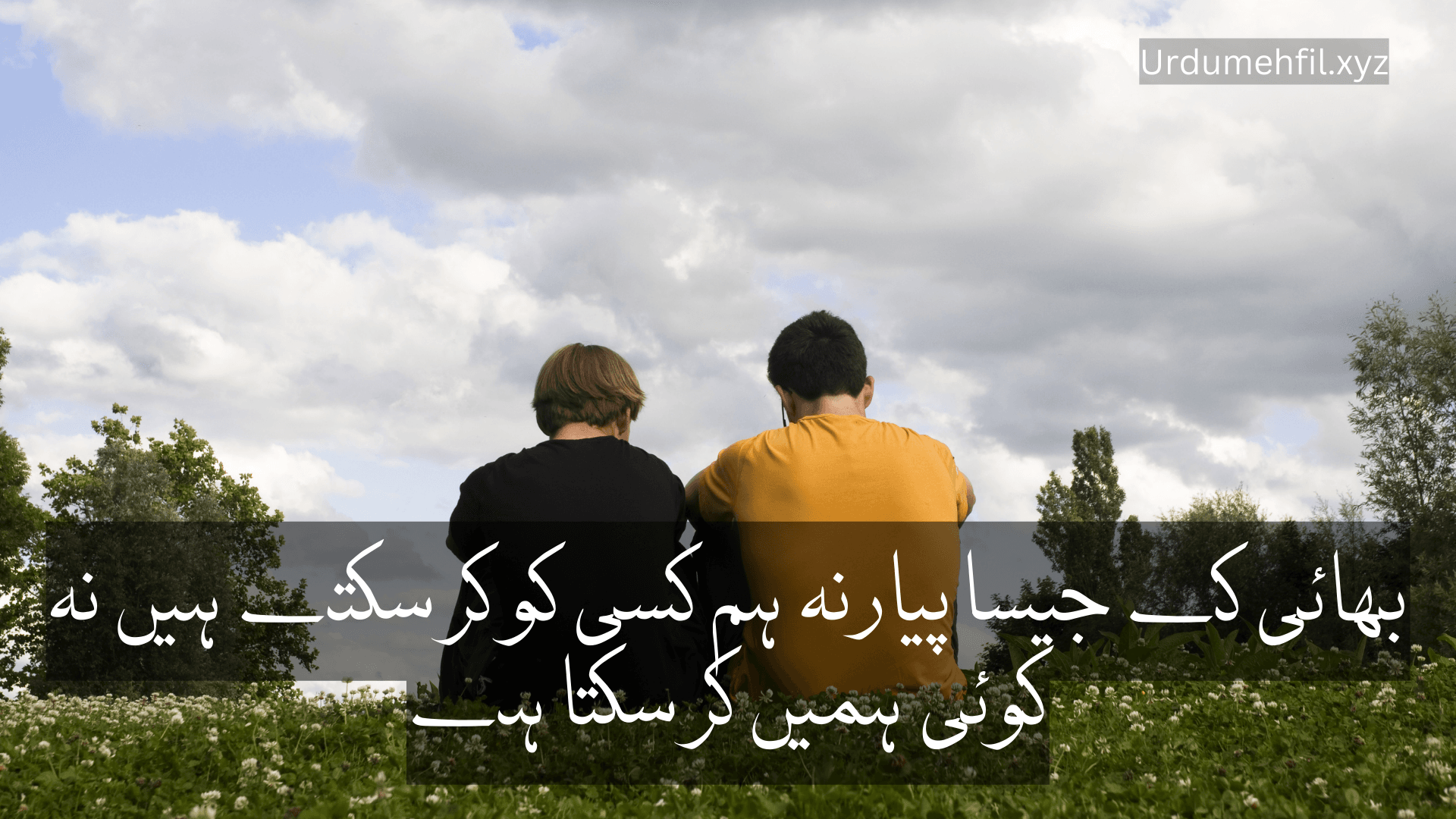 Brother Quotes