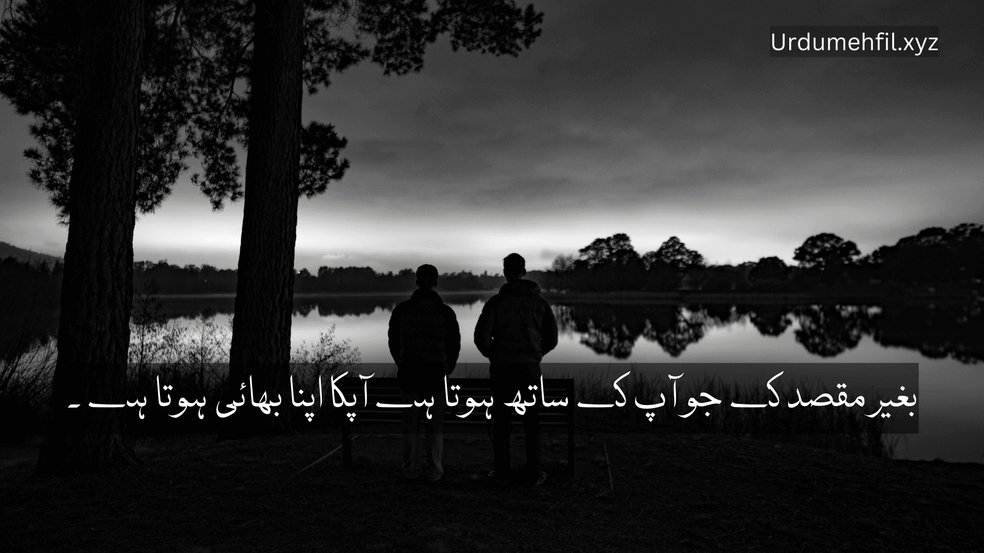 Brother Quotes