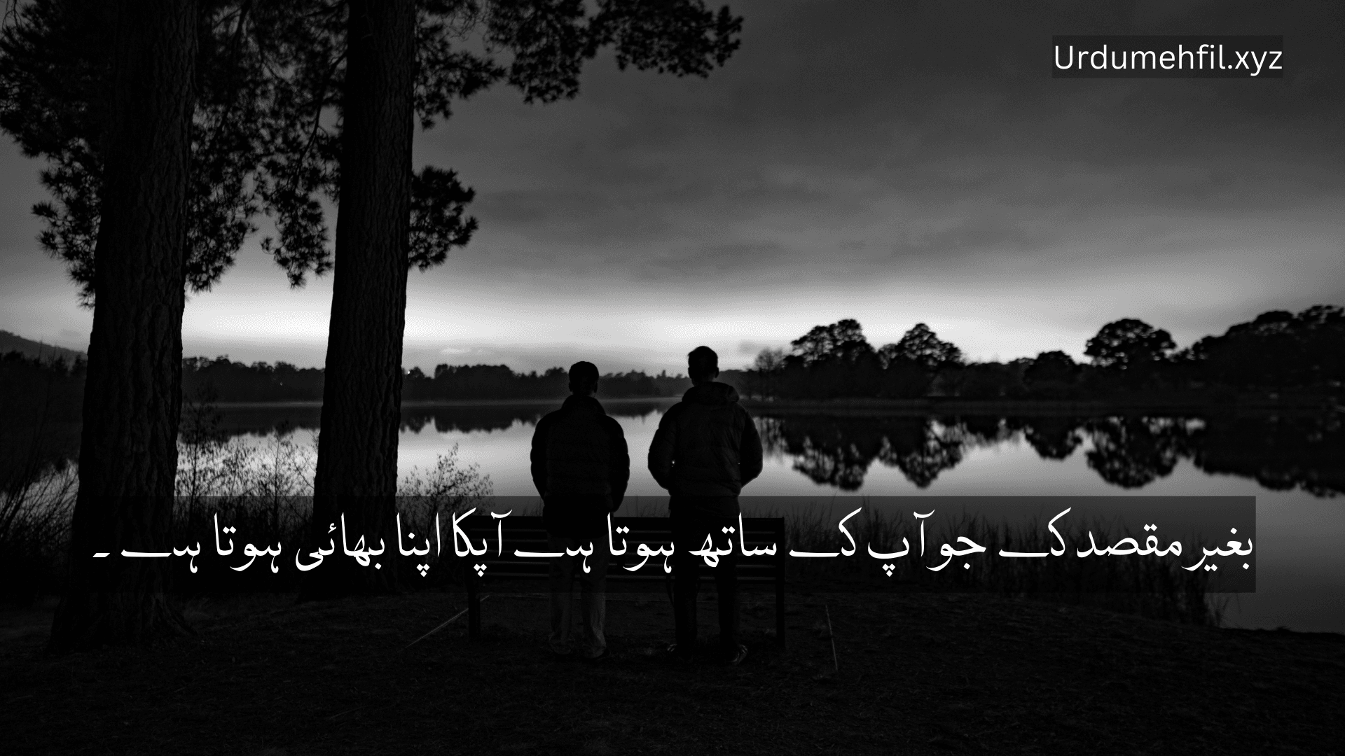 Brother Quotes