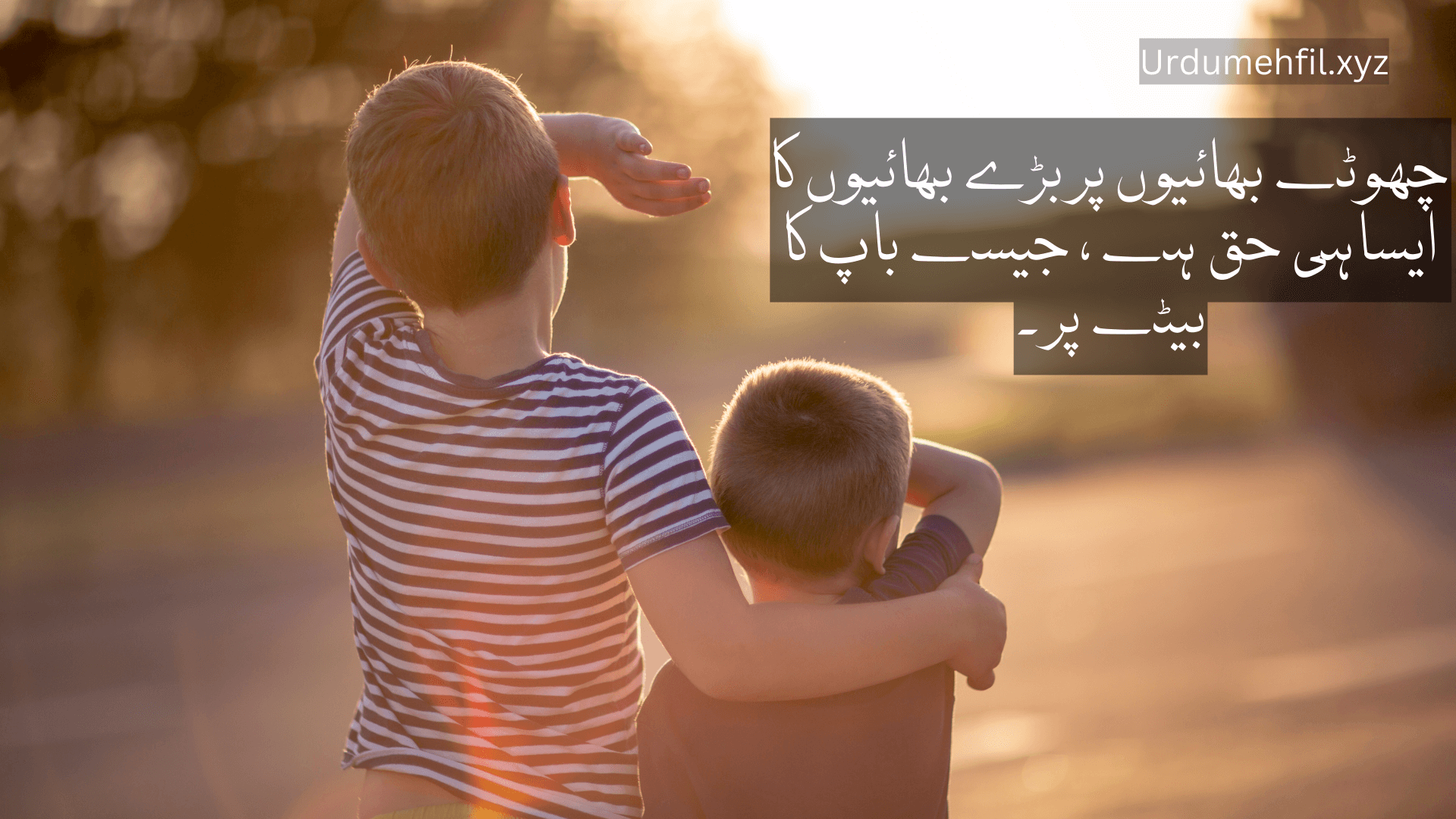 Brother Quotes